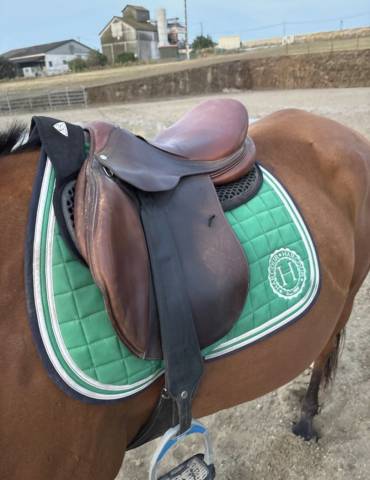 Selle antares 