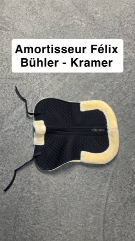 Amortisseur Félix Bühler - Kramer