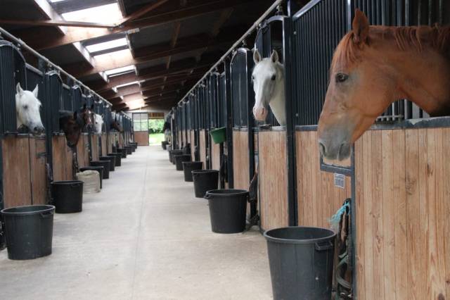 Places disponibles à l’académie équestre du miroir