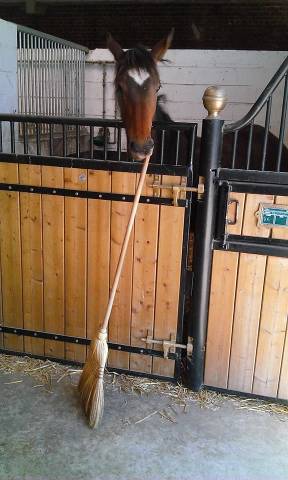 Recherche palefrenier soigneur - dpt 27 