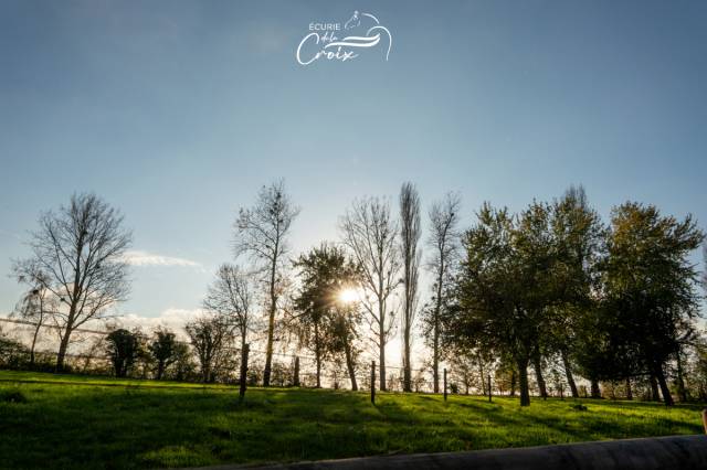 Pension champ avec carriere 80x40 eclairée