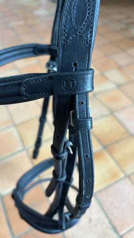 Filet et rênes taille cheval