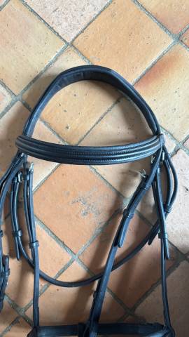 Filet et rênes taille cheval