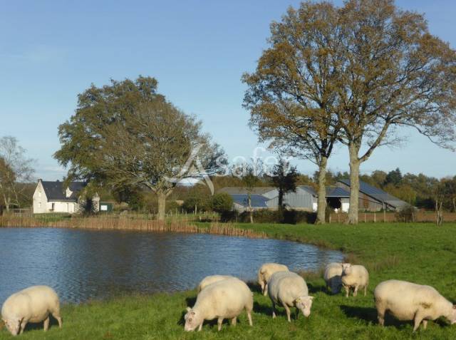 Ferme d'élevage, ferme des possibles