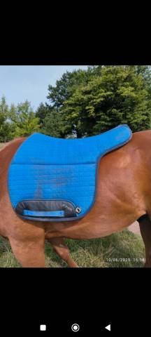 Tapis burioni 