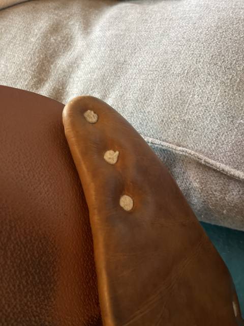 Selle Antarès 16,5’ CSO