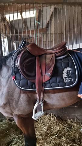 Selle Childéric CSO ou Cross 17,5