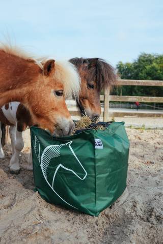 Cube de foin Natural'Kub - Natural'Innov - 10kg