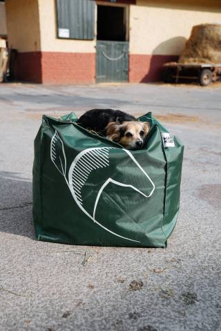 Cube de foin Natural'Kub - Natural'Innov - 10kg