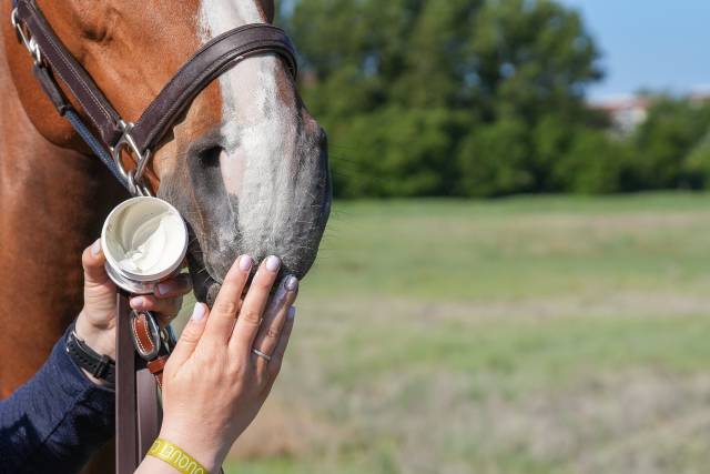 Protection solaire Natural'Sun - Natural'Innov - Lotion 250 ml