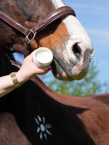 Protection solaire Natural'Sun - Natural'Innov - Lotion 250 ml