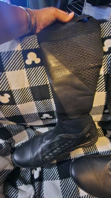 Botte horse pilot