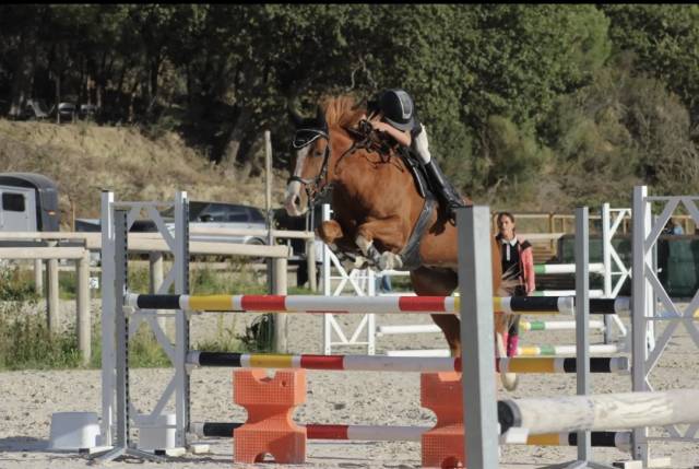 Poney pfs 10 ans - pour as