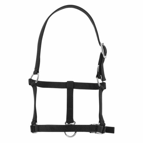 Licol nylon poulain - Riding World - Réglable et confortable