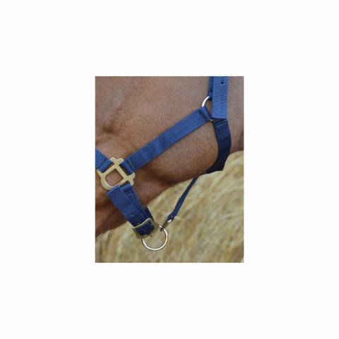 Licol nylon - Riding World - Confort réglable