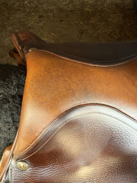 Selle Bruno Delgrange Partition 17.5