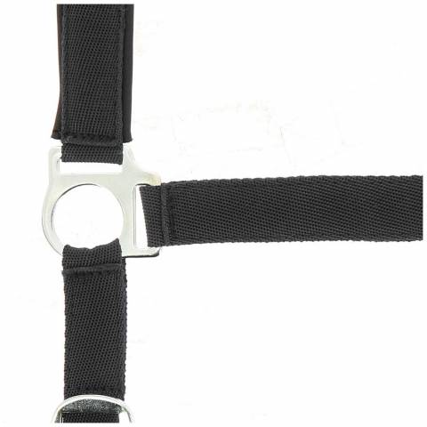 Licol NORTON - Doublé néoprène