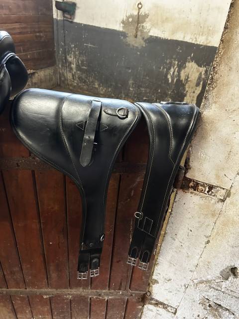 Selle mixte noir time rider 