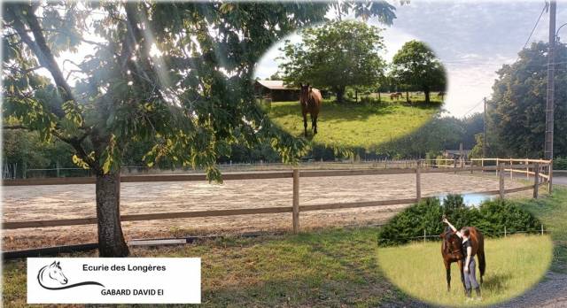 Ecuries des longères - pensions de chevaux - poneys