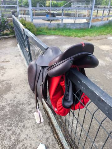  À VENDRE : Selle Équipe Évolution Spéciale – 17,5 pouc