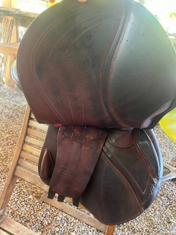 Vend Selle CWD 2GS Mademoiselle 2024 – Très bon État