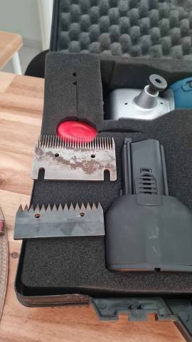 Tondeuse chevaux sans fil Kramer