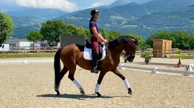 Superbe jument cdf de 5 ans