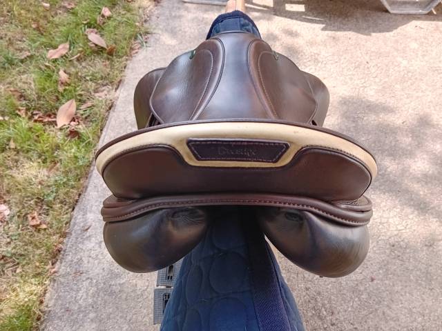 SELLE PRESTIGE ITALIA VENEZIA  V.S.S.  TAILLE 17,32 