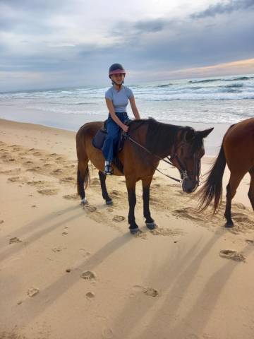 Gentille jument de balade