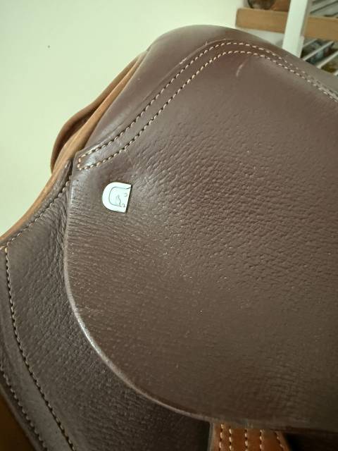 Selle CWD Club 17’’ – série 2/25 – 2020 – Très bon état