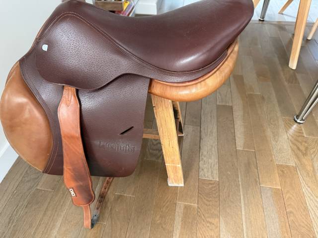 Selle CWD Club 17’’ – série 2/25 – 2020 – Très bon état