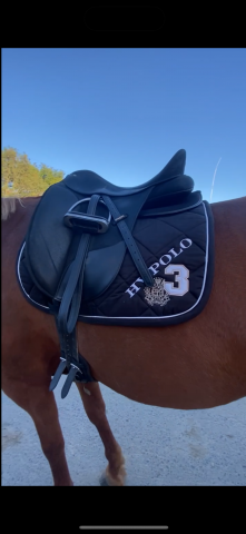 Selle wintec Isabell werth cair 