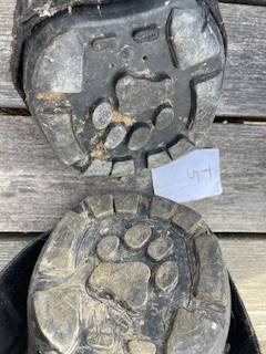 Hipposandale occasion