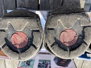 Hipposandale occasion