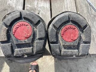 Hipposandale occasion