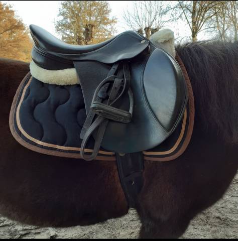 Tapis paddock sports en bon état 