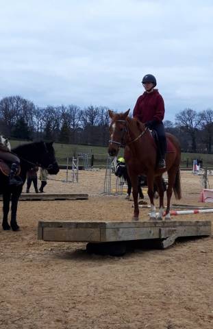 Secrétariat et/ou cavalière - cdi en idf