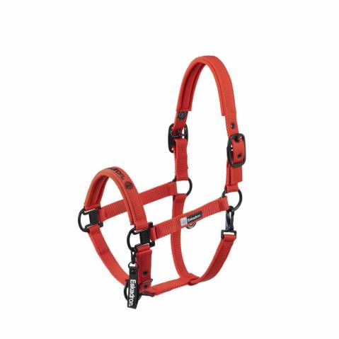 Licol Doublepin Dynamic 25 A/W - Eskadron - Robustesse et confort