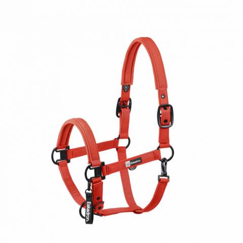 Licol Sparkle Doublepin Dynamic 25 A/W - Eskadron - Softshell brillant