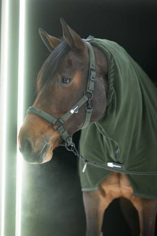Licol Sparkle Doublepin Dynamic 25 A/W - Eskadron - Softshell brillant