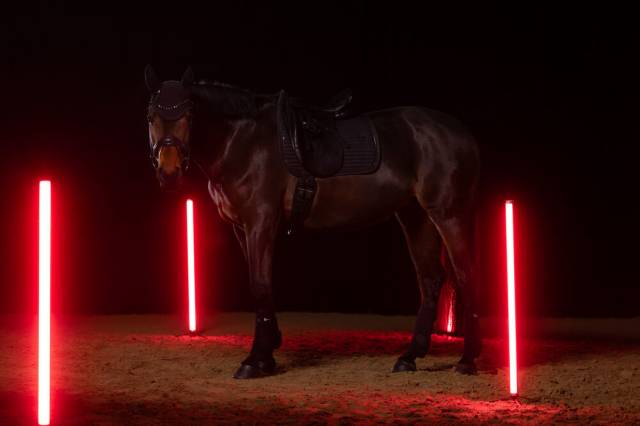 Tapis de selle Sparkle Crystal Dynamic 25 A/W - Eskadron - Éléments antidérapant