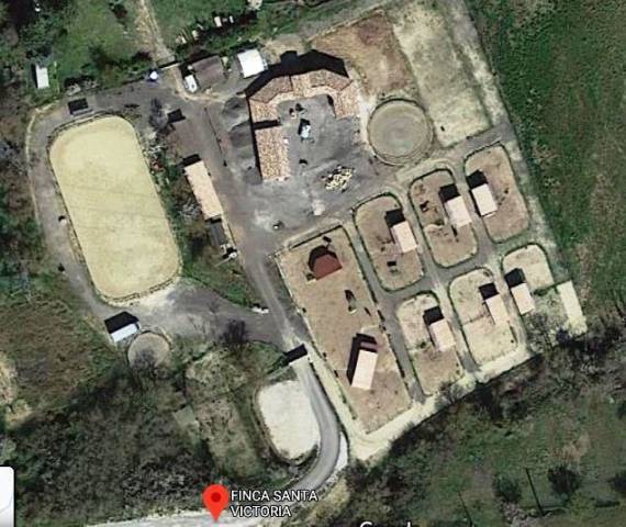 Recherche apprenti palefrenier pour formation cap