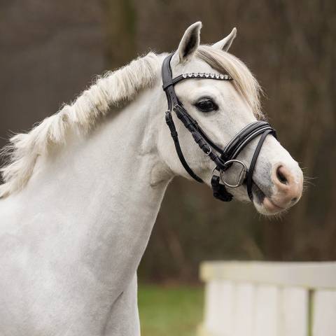 Bridon Bixie - QHP