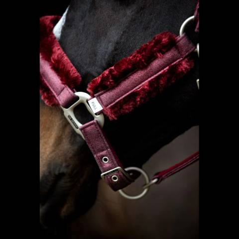 Licol Hollywood Glamorous - SD DESIGN - Bande pailletée et strass