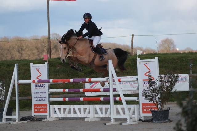 Poney( hors cote)