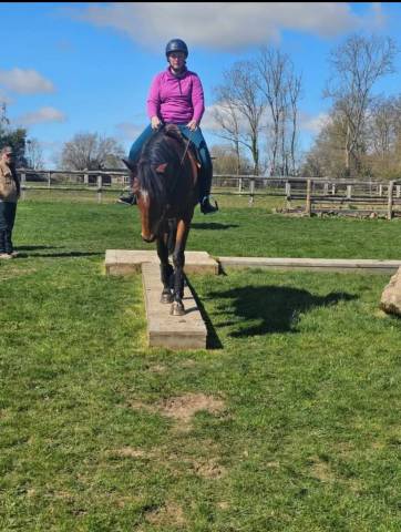 Trotteur 6 ans pour loisirs