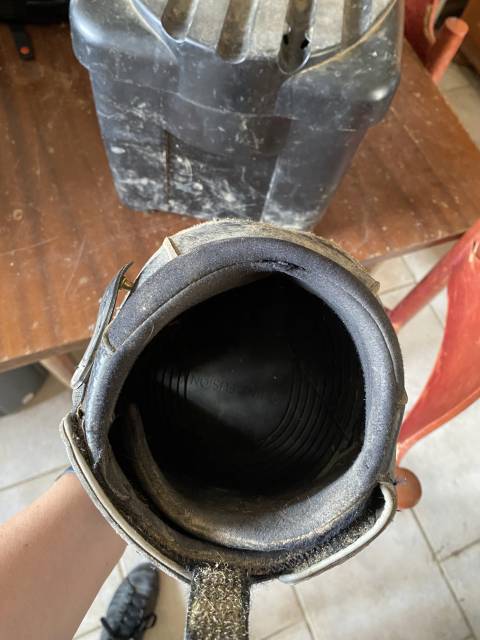 Équine fusion T16 Slim