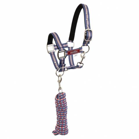 Licol doublé en néoprène avec longe - BR