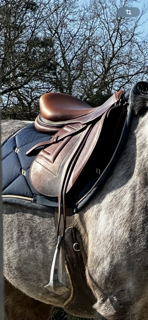 Selle renaissance  17,5 2023