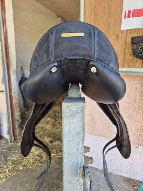 Selle dressage cwd
